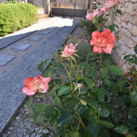 Stone House * Kaocine