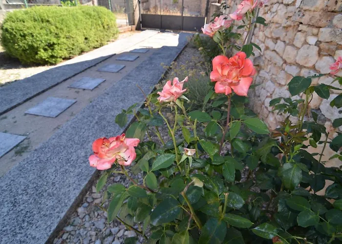 Stone House * Kaocine